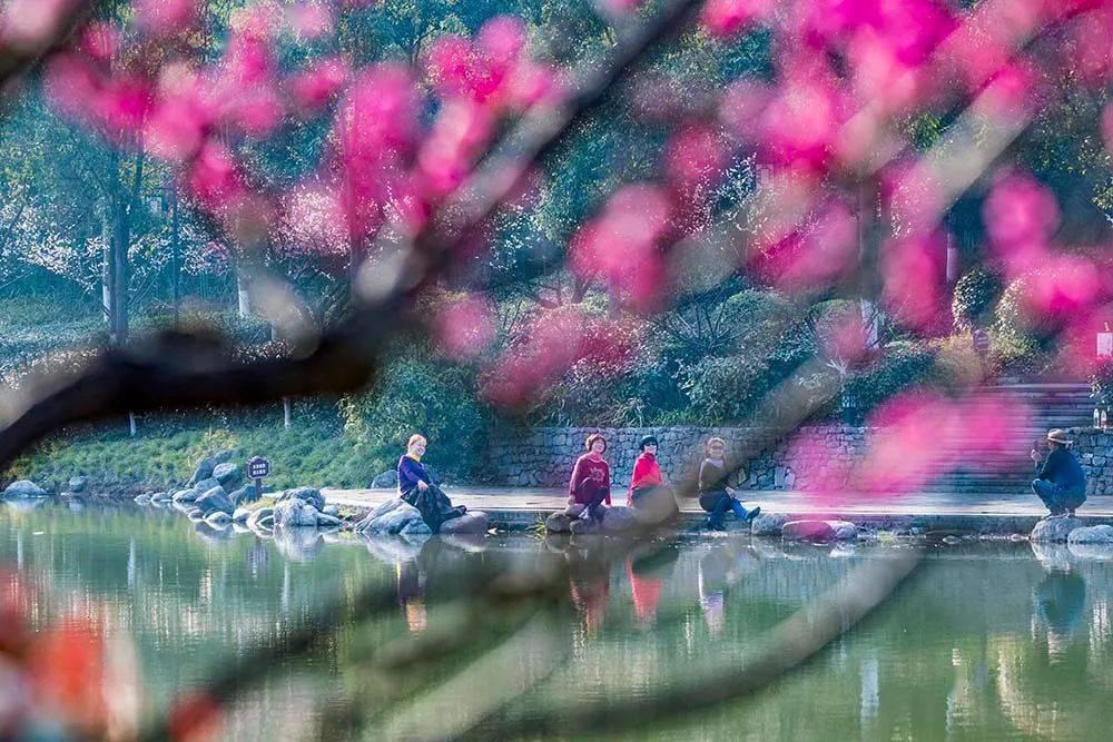 探索天涯,畅谈女生说你一表人才高情商怎么回复?交流平台
